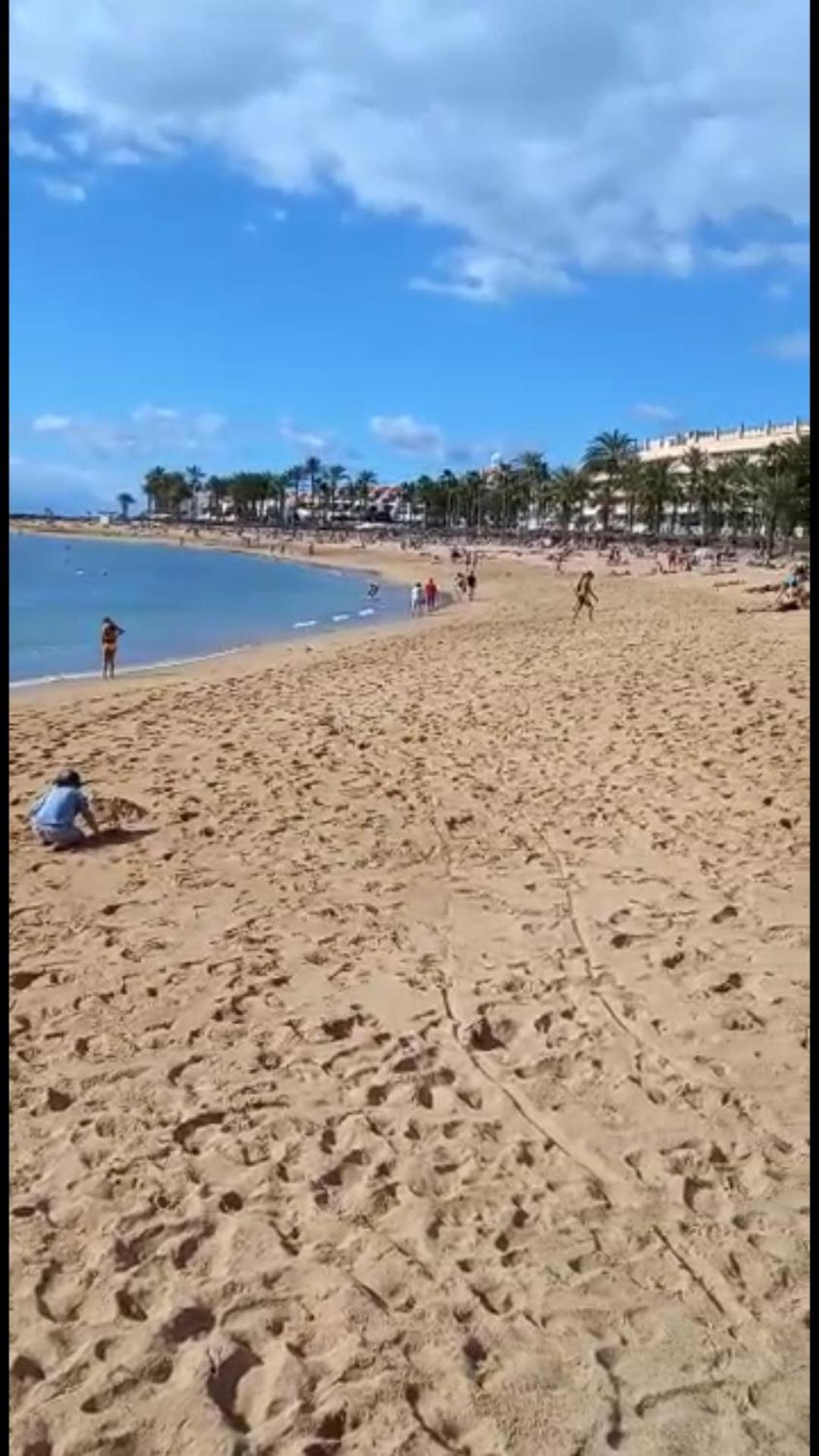 Chill Out Tenerife Sud - Monolocale Con Piscina Riscaldata Коста дел Силенцио Екстериор снимка
